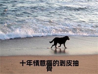 （裴旻知顾芷柠）裴旻知顾芷柠小说(十年情意痛的剥皮抽骨)小说全集速览无广告高口碑小说