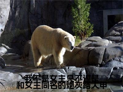 终章小说宋韵锦顾江尧我不是女主只不过是和女主同名的炮灰路人甲小说(宋韵锦顾江尧)已更新+番外篇章（我不是女主只不过是和女主同名的炮灰路人甲）无广告