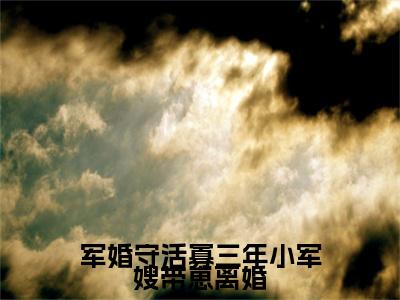 在线阅读（陆枝瑶白水水）军婚守活寡三年小军嫂带崽离婚：结局+番外看点十足全文+后续
