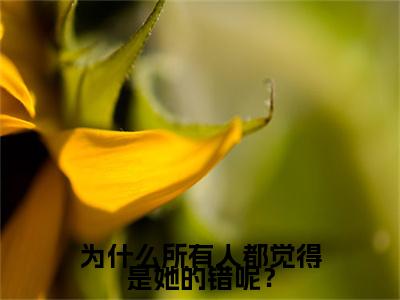 （为什么所有人都觉得是她的错呢？）苏唯陆承洲小说最终篇章章节在线无广告高口碑小说