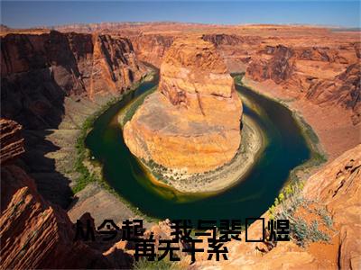 （书荒必看）从今起，我与裴璟煜再无干系(洛颜裴璟煜)无删减在线下载阅读最终终章