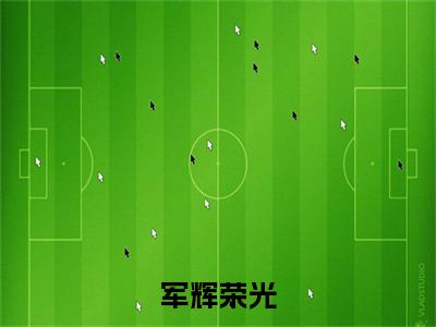 终章小说军辉荣光完结篇(苏泽)已更新+延伸（军辉荣光）清爽版