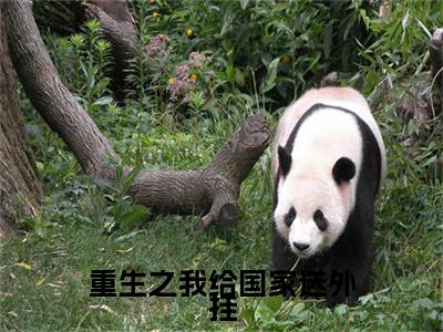 热门章节_笔趣阁（言初）言初小说(重生之我给国家送外挂)章节在线阅读