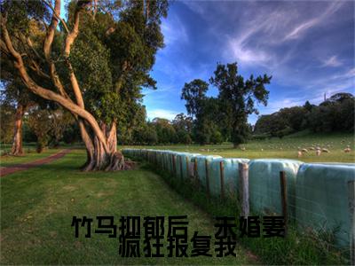 热门章节_笔趣阁（竹马抑郁后，未婚妻疯狂报复我）竹马抑郁后，未婚妻疯狂报复我小说(沈星眠陆景行)章节在线阅读