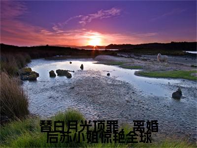 替白月光顶罪，离婚后苏小姐惊艳全球苏薇薄熠辰续集（苏薇薄熠辰）章节在线阅读最近章节