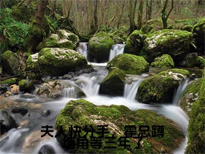 夫人快分手，霍总蹲墙角等三年了：结局+番外新上热文（慕伶霍修衍）:全文+番外+纯净版结局