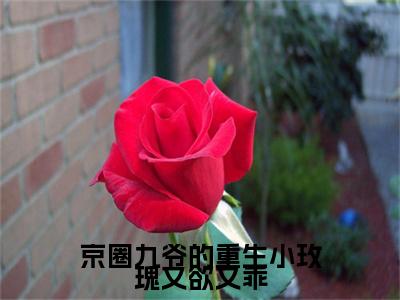 京圈九爷的重生小玫瑰又欲又乖小说无删减+后续（孟明萱严漠九）畅享阅读