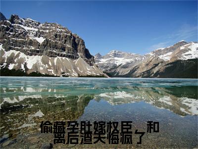 全网首发偷藏孕肚嫁权臣，和离后渣夫悔疯了小说叫什么(沈菡楼逸尘)（偷藏孕肚嫁权臣，和离后渣夫悔疯了）全书阅读纯净阅读
