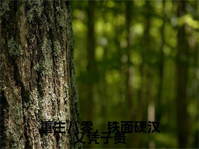 全网首发重生八零，铁面硬汉父凭子贵彩蛋(宁采薇赵景免)（重生八零，铁面硬汉父凭子贵）全本完整阅读无弹窗