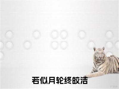 若似月轮终皎洁：结局+番外（沈知意傅临渊）全本完整+后续+结局在线阅读