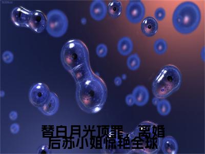 替白月光顶罪，离婚后苏小姐惊艳全球小说(替白月光顶罪，离婚后苏小姐惊艳全球)（苏薇薄熠辰）完整章节列表_笔趣阁