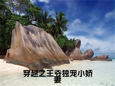 热文推荐薛紫翎小说大结局（穿越之王爷独宠小娇妻）书荒必看列表