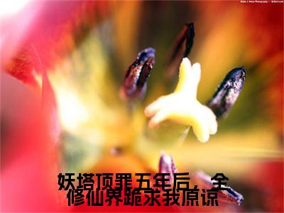 温蘅褚临渊妖塔顶罪五年后，全修仙界跪求我原谅彩蛋（妖塔顶罪五年后，全修仙界跪求我原谅）全书在线下载阅读完美终章小说大结局