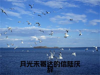 林岁窈陆厌辞小说(月光未寄达的信陆厌辞)小说全集在线下载_章节前文+后续（林岁窈陆厌辞）