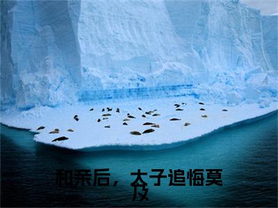 小说孟昭宁秦晏小说已更新+番外篇章（和亲后，太子追悔莫及）纯净阅读