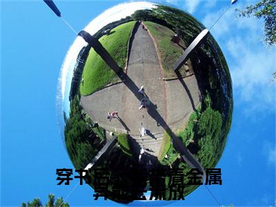 （书荒必看）穿书后，我带着金属异能去流放小说TXT无套路阅读