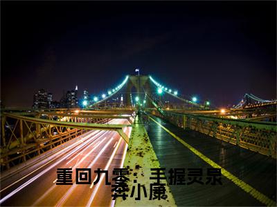 重回九零：手握灵泉奔小康完结篇全篇阅读无广告（花夏礼）番外+续集