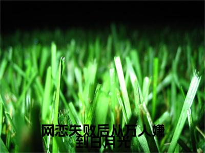 陆向南林初霁后续（网恋失败后从万人嫌到白月光）全文在线下载在线+纯净版结局
