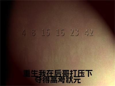 沈晚瑜周时宴番外+结局（重生我在后哥打压下夺得高考状元）小说在线阅读