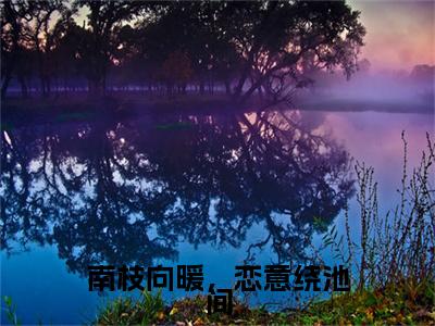 南枝向暖，恋意绕池间全文免费阅读无弹窗大结局_温以南池北最新章节列表_笔趣阁（南枝向暖，恋意绕池间：完结+结局+番外）