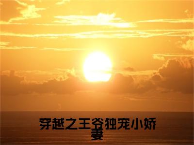 薛紫翎穿越之王爷独宠小娇妻续集（穿越之王爷独宠小娇妻）章节在线阅读最近章节