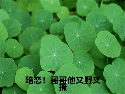 孟诗意贺西楼小说(暗恋！哥哥他又野又撩)小说结尾+隐藏篇章（孟诗意贺西楼暗恋！哥哥他又野又撩）畅享阅读