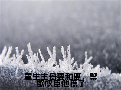 小说结尾小说重生主母要和离，禁欲权臣他慌了小说全章已更新+无删减（王初芸卿无尘）无弹窗