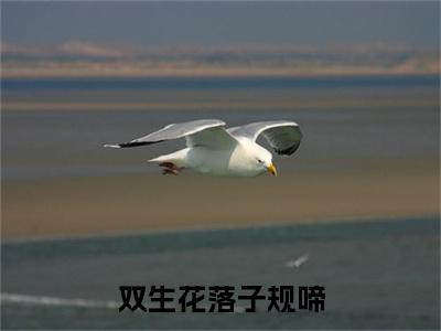 陆辞舟陆清歌：结局+番外新上热文 新章速递双生花落子规啼：结局+番外评价五颗星