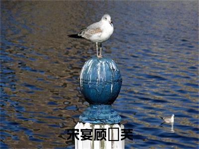 宋宴顾玥芙：+后续热血十足 宋宴顾玥芙：结局+番外评价五颗星