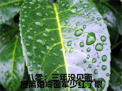 温茯苓陆寒征八零：三年没见面，提离婚冷面军少红了眼彩蛋（八零：三年没见面，提离婚冷面军少红了眼）全书在线下载阅读完美终章小说大结局
