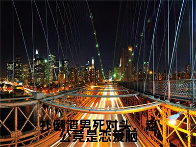 陆景琛林清晚扑倒渣男死对头，老公竟是恋爱脑终章（扑倒渣男死对头，老公竟是恋爱脑）完整章节列表_笔趣阁