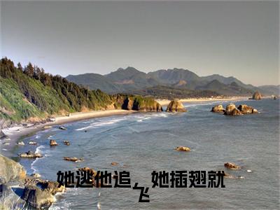 肖振霖尹曼筝：结局+番外新上热文（她逃他追，她插翅就飞）最近章节列表