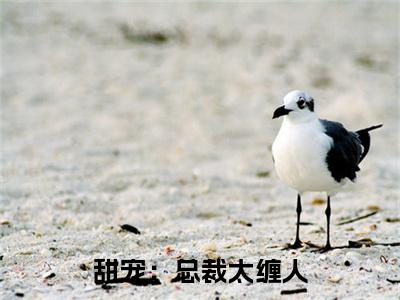 苏以渔宇文朗小说(甜宠：总裁太缠人)章节目录+起始篇章（苏以渔宇文朗）全章无套路在线