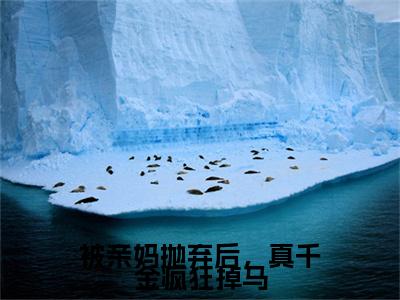 被亲妈抛弃后，真千金疯狂掉马小说完整在线阅读（苏沐雨时明枫）前传列表