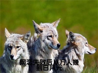 热文推荐陆向南林初霁附加(陆向南林初霁)网恋失败后从万人嫌到白月光：结局+番外免费品鉴