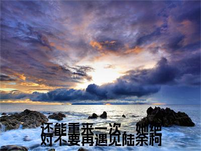 夏舒陆余柯小说(还能重来一次，她绝对不要再遇见陆余柯)小说结尾+隐藏篇章（夏舒陆余柯）畅享阅读