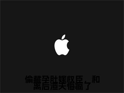 偷藏孕肚嫁权臣，和离后渣夫悔疯了小说(偷藏孕肚嫁权臣，和离后渣夫悔疯了)（沈菡楼逸尘）完整章节列表_笔趣阁