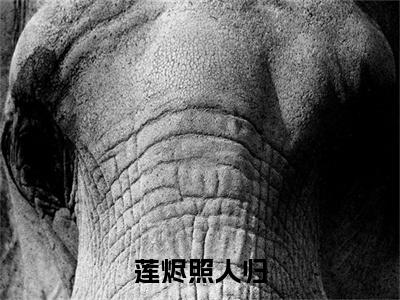（头条）沈清辞段淮安(莲烬照人归)整本免费版阅读无广告（沈清辞段淮安）
