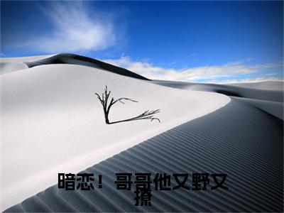孟诗意贺西楼完本(暗恋！哥哥他又野又撩)（暗恋！哥哥他又野又撩）前传+整本阅读全新作品预订