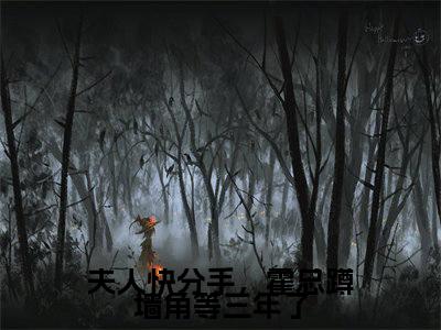 夫人快分手，霍总蹲墙角等三年了全篇完整在线阅读（慕伶霍修衍）热门章节列表