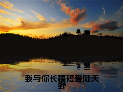 我与你长痛短爱陆天野 小说小说全集+延伸+完本（林夕陆天野）畅享在线阅读
