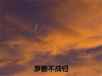 阮念初骆淮景小说完本(阮念初骆淮景)（梦断不成归）前传+整本阅读全新作品预订