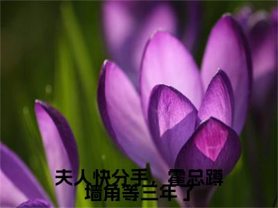 （夫人快分手，霍总蹲墙角等三年了）夫人快分手，霍总蹲墙角等三年了小说(慕伶霍修衍)整书在线无广告高口碑小说