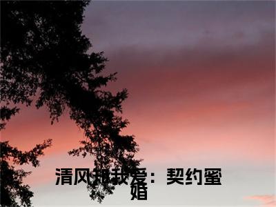 叶紫菱宫寒熙：结局+番外精品选集（清风知我爱：契约蜜婚）番外+续集