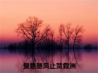 林轻禾贺霖洲小说(爱意随风止贺霖洲)外篇+结局（林轻禾贺霖洲）全篇在线阅读