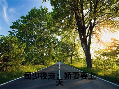 司琰辰林晚晚:全文+番外（司少夜宠：娇妻要上天）TXT+后续+结局在线阅读