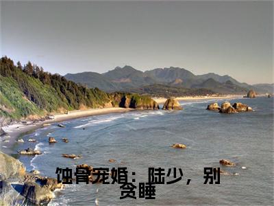 前传蚀骨宠婚：陆少，别贪睡续集(蚀骨宠婚：陆少，别贪睡)终章阅读极简（蚀骨宠婚：陆少，别贪睡）