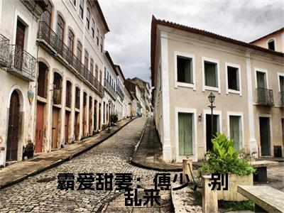 陈落傅奕寒小说(霸爱甜妻：傅少，别乱来)序章+全章阅读（陈落傅奕寒）最新章节