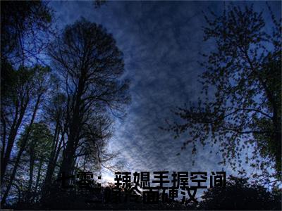 精选热门小说七零：辣媳手握空间二嫁冷面硬汉（柳为宁）-（柳为宁）七零：辣媳手握空间二嫁冷面硬汉免费阅读