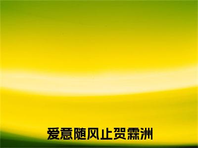 林轻禾贺霖洲小说无删减阅读清爽版（爱意随风止贺霖洲）外篇+续集
